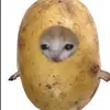 benthepotato49 - @benpotashbenthepo - TikTok