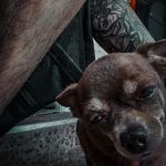 Ben Prado - @bndxtp - Instagram