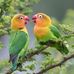 B P Premik - Facebook