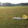 Ben Pressley - @benpressley8 - TikTok