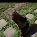 Ben Pretorius - @benben.pretorius - Instagram
