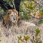 Ben Pretorius - @pret_orius1969 - Instagram
