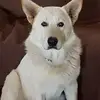 Ben Pretorius - @benpretorius0 - TikTok