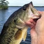 Patrick Frame & Ben Pridemore - @thebassbrothers_15 - Instagram