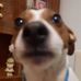 Benny Priolo - Facebook