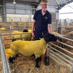 Ben Privett - @benley_pedigree_suffolks - Instagram
