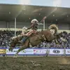 Benny_Proffitt - @bennyproffitt4 - TikTok