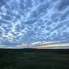 Ben Prokop - @benprokop - TikTok