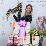 Питомник бенгалов BenQueen - @benqueen_cattery - Instagram