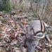 Ben Quick - Facebook
