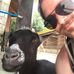 Ben Ramer - Facebook