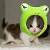 Ben Ramert - @ben.ramert - TikTok
