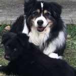 Ben Randolph - @benrandyy - Instagram