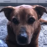 Ben - @benranftt - Instagram