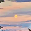 ben ransom - @benmransom - TikTok