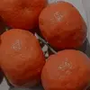 Ben Raya Amr - @ben.raya.amr - TikTok