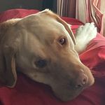 Ben ream - @ream.ben - Instagram