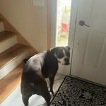 Ben - @ben_reckinger - Instagram
