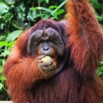 Ben Redman - @bnrdmn5 - Instagram