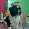 Beni Regalado - @beni.regalado - TikTok