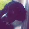 Ben Jordan Reidy - @benjreidy0 - TikTok