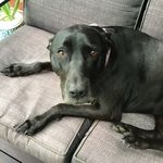 Ben R - @ben_reidy_1 - Instagram