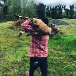 Ben Reid - @benreidy - Instagram