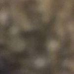 Ben Ribble - @benribble - Instagram