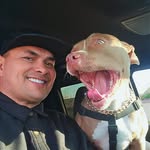 Ben Rico - @brico32 - Instagram