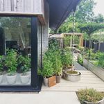 Ben Rigby - @benrigby.designerlandscaper - Instagram