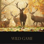 Ben Rigby Game Ltd - @ben_rigbys_super_foods - Instagram