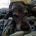 Ben Rillo - Facebook