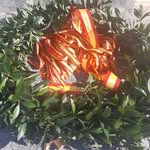 Benjamín Del Río - @el_rincon_de_benja_el_perejil - Instagram