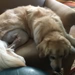 Ben - @benripper69 - Instagram