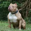 Ben Ripped - @benripped - TikTok