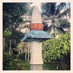 Ben Ripple - @benripple - Instagram