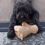 Ben - @benrishaug - Instagram