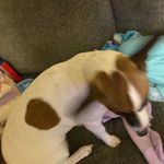 Bentlee Risner - @risnerbentlee - Instagram