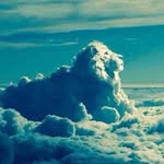 @__ben__ritz__69 - Instagram