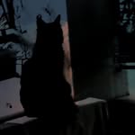Riva - @benrivasmokin - Instagram