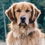 Ben Rizzo - @brizzo4046 - Instagram