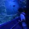 B E N   R O B E R T S - @ben._roberts.2008 - TikTok