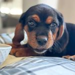 Ben Robie - @ben.robie - Instagram