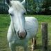Ben Robiez - Facebook