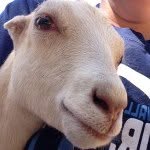 Ben Robison - @soccergoat19 - Instagram