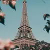 Ben Rocca12 - @benrocca171 - TikTok