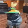 ben rocha - @ben.rrocha - TikTok