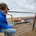 Ben Roche - @roche731 - Instagram