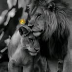 Redwan Ben Hadi - Facebook