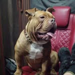 Ben Roden - @ben.roden.16 - Instagram